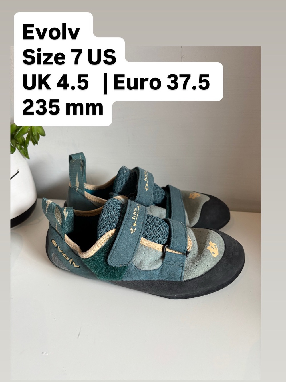 Evolv Elektra Women’s 
Size 7 US
UK 4.5   | Euro 37.5 
235 mm